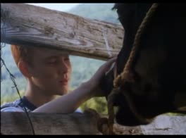 Fishbelly White 1998